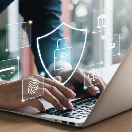 Annual Home Network Security Consultation Package