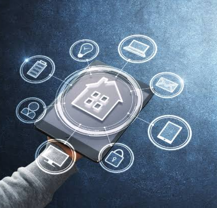 Whole-Home Digital Security Consultation Package
